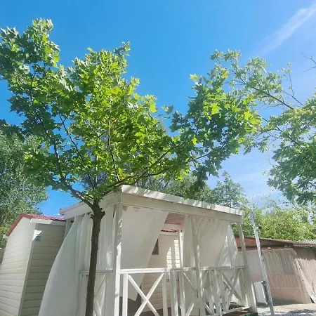 Dal Pino