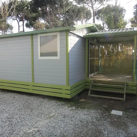 Dal Pino Marina di Massa