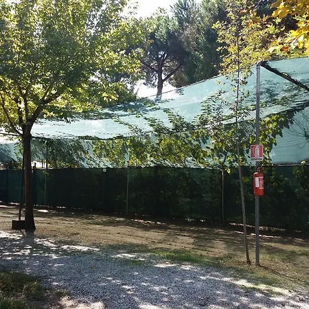 Dal Pino Marina di Massa