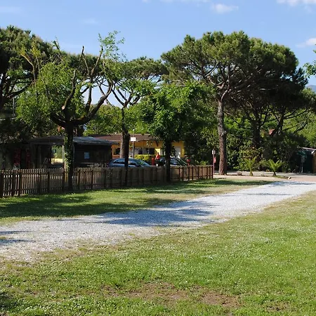 Dal Pino 3*