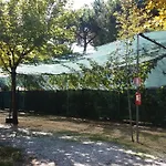 Dal Pino Marina di Massa