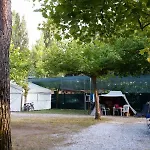 Dal Pino