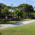 Dal Pino 3*