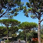 Dal Pino Kemping Marina di Massa