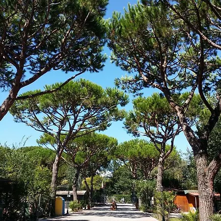Dal Pino 营地